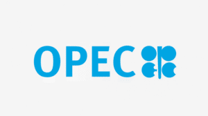 OPEC weighing response to oil price plunge
