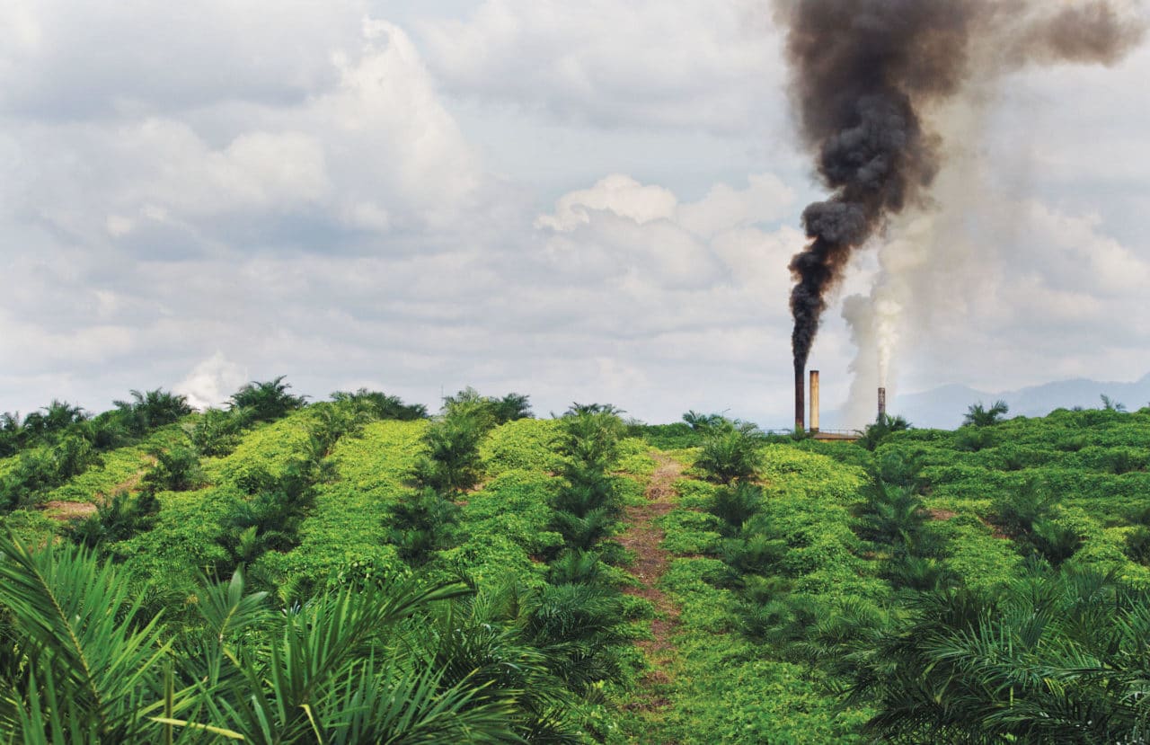 https://opuskinetic.org/wp-content/uploads/2019/10/palm-oil-industry.jpg