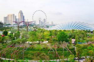 Singapore firms on road to sustainability, research says